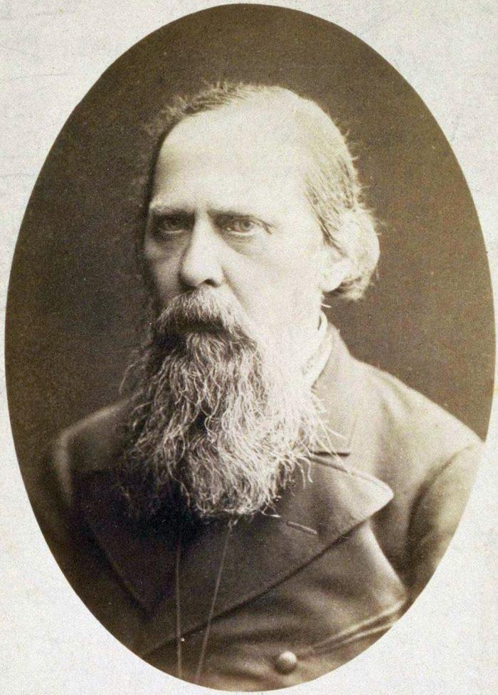 Рис. 5. Михаил Салтыков в 1889 году
