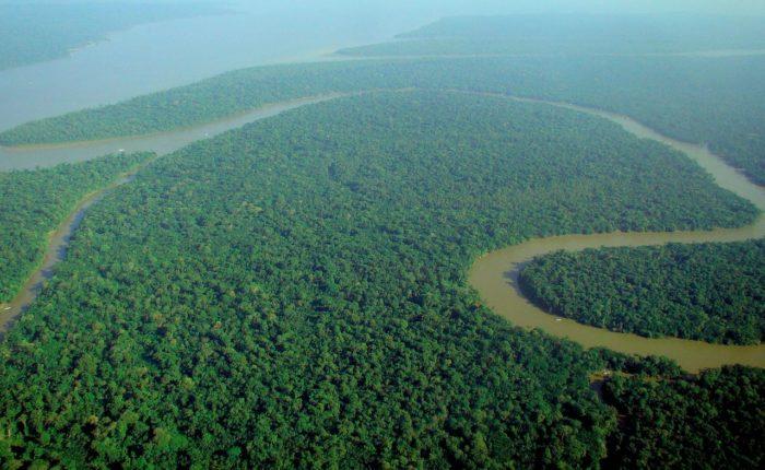Рис. 4. Река в джунглях Амазонии. Бразилия