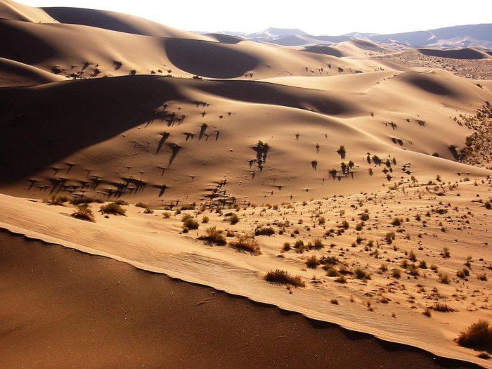 Рис. 4. Дюны в пустыне Намиб